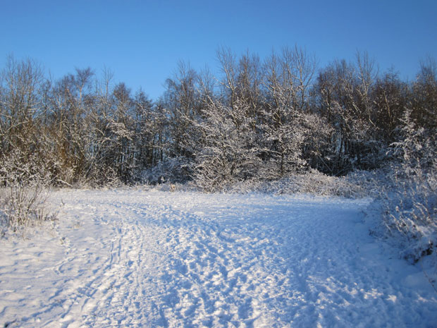 Dec-Snow-2010-002