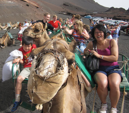 Lanzarote-2012-Camels