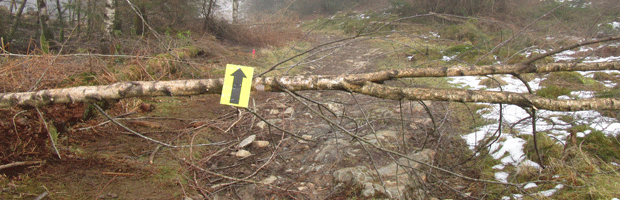 Grizedale-Marathon-2015T