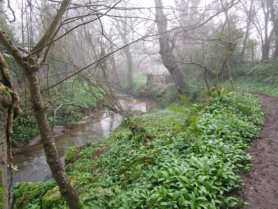 Llangoed