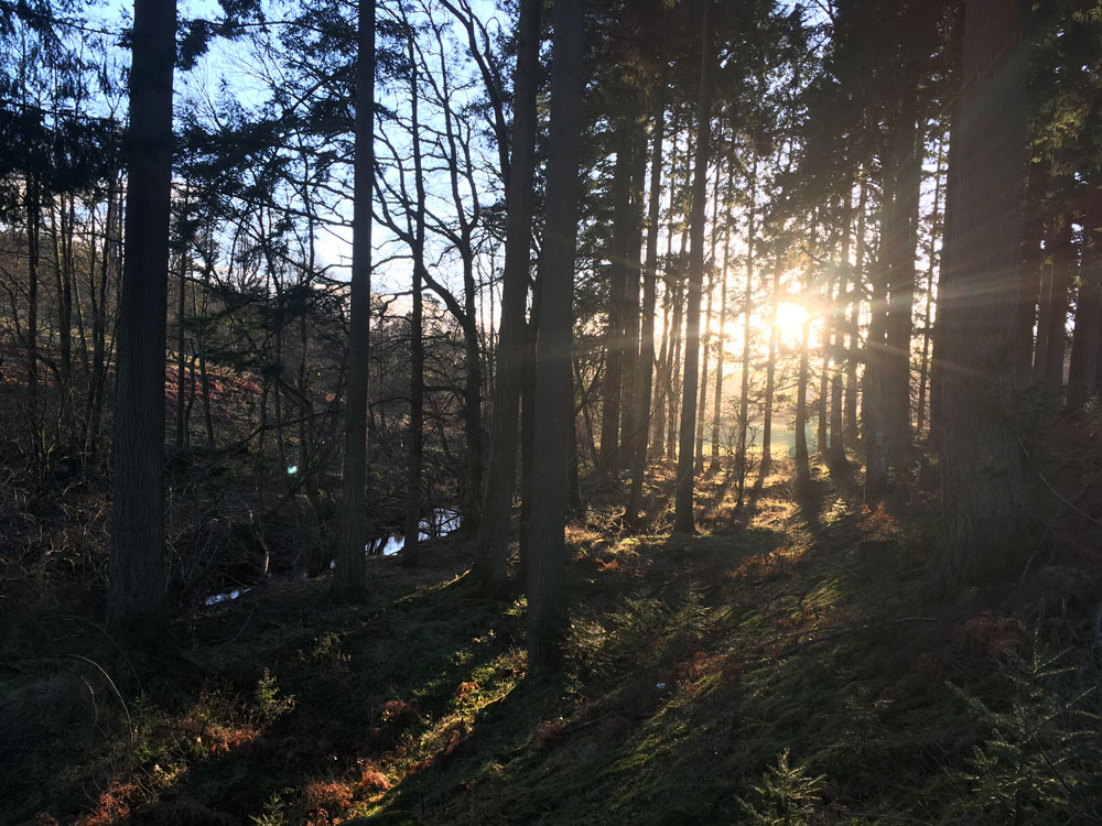 windermere-marathon-mile-7