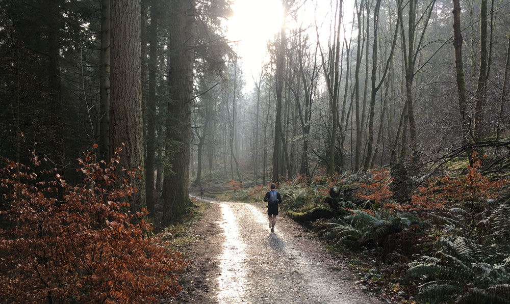 grizedale-marathon-2017-2