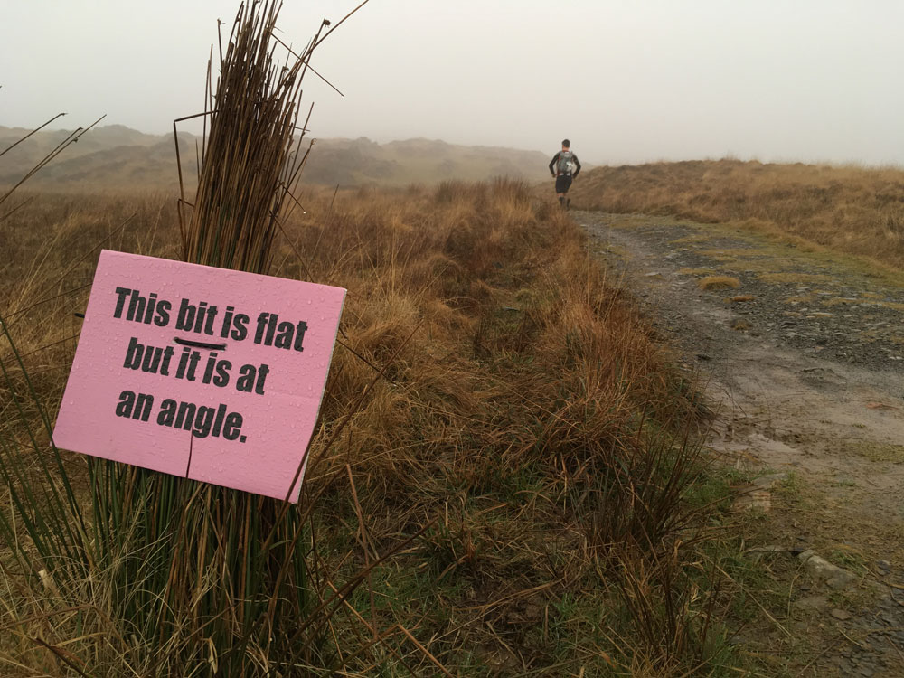 grizedale-marathon-2017-4