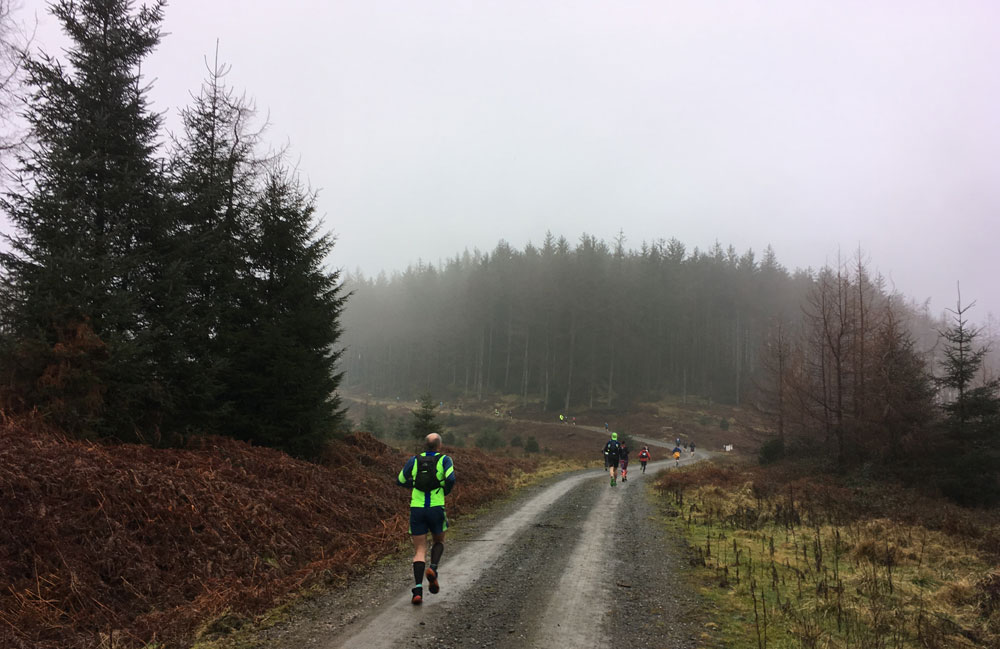 grizedale-marathon-2017