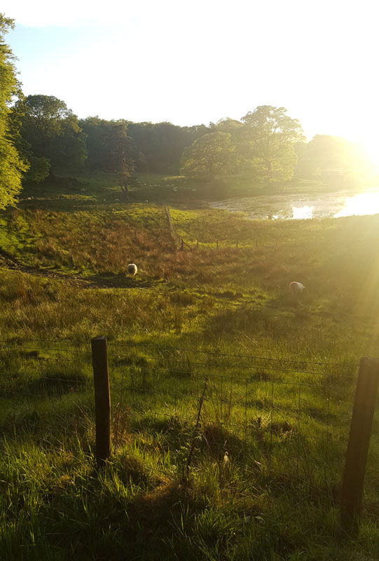 brathay-2017-vikash