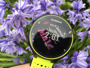 garmin-230-bluebells